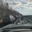 Добра всем👍🤝